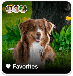 Sharing your Favorites on Ente Photos